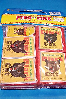 PyroPack 500 - Feuerwerksvitrine