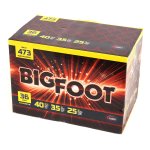 Comet BIG FOOT XXL Batterie