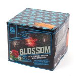 Argento Blossom